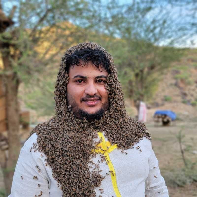 نحال من إب يجمع حول وجهه آلاف النحل للتعريف بأهمية الحفاظ عليه