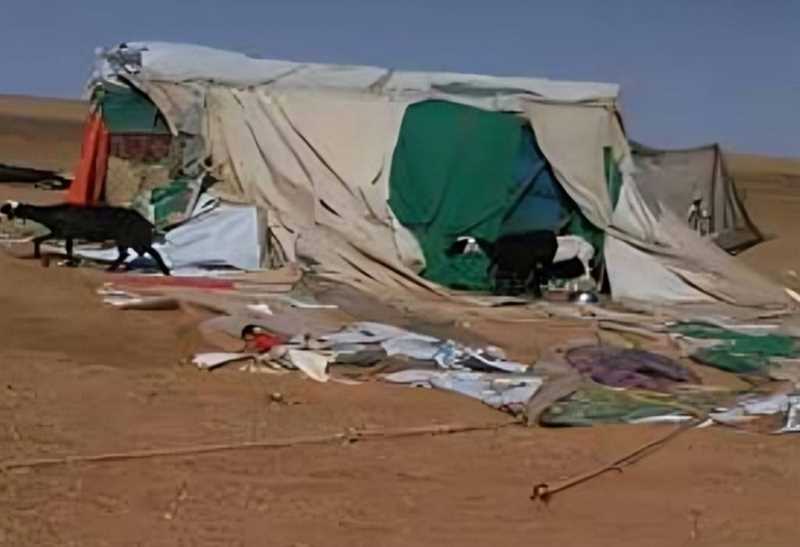 تقرير حكومي: تضرر نحو خمسة آلاف أسرة نازحة في اليمن جراء المنخفض الجوي
