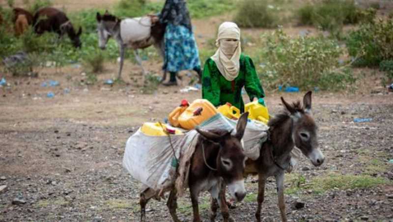 اليمن يدرس زراعة الأراضي "البور" لتخفيف الأزمة الغذائية