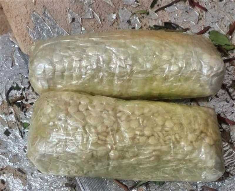 أمن منفذ الوديعة يُحبط تهريب كمية من الحبوب المخدرة