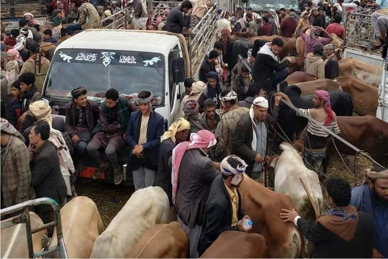 مليشيا الحوثي تفرض اتاوات على تجار المواشي في مداخل مدينة إب