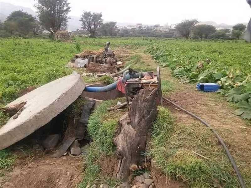 إب.. نحالون يتكبدون خسائر مادية كبيرة جراء تعرض مزارعهم للتسميم