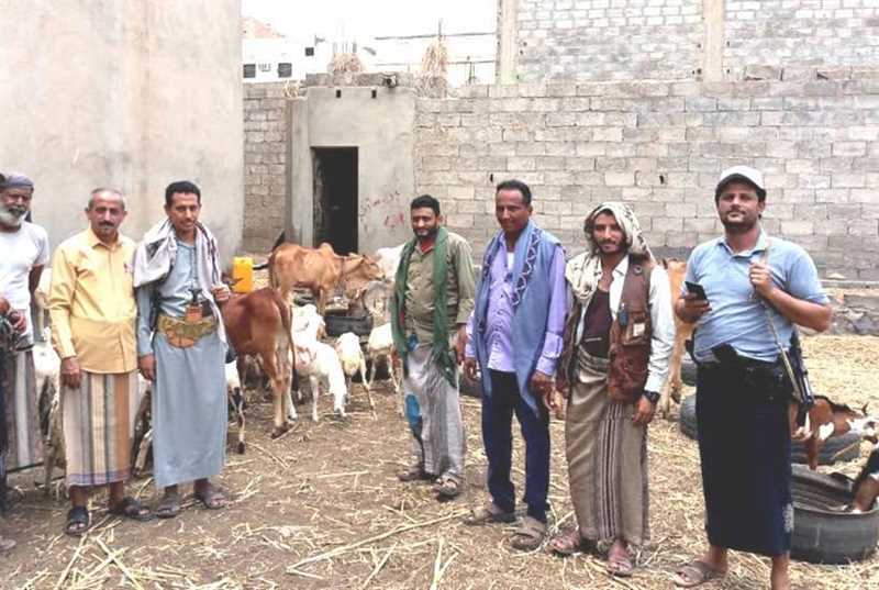 بذريعة حماية البيئة.. مليشيا الحوثي تفرض إتاوات جديدة على مربي المواشي في إب