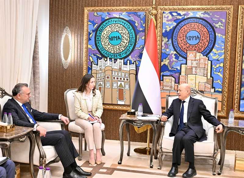 الرئيس العليمي: وقوف المجتمع الدولي إلى اليمن كان عنصراً حاسماً في تماسك الدولة